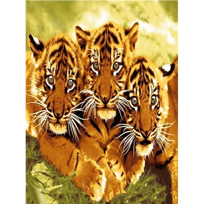 Флисовый плед "Тигрята" 150*200 см.