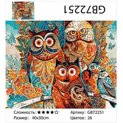 картина алмазная мозаика АМ34 GB72251 "Цветные совы", 30х40 см