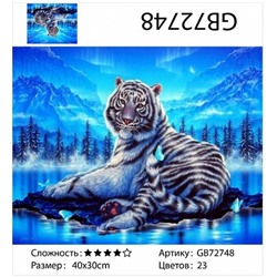 картина алмазная мозаика АМ34 GB72748 "Тигр на фоне северного сияния", 30х40 см