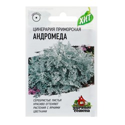 Семена цветов Цинерария приморская "Андромеда", О, 0,1 г