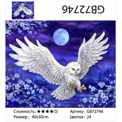 картина алмазная мозаика АМ34 GB72746 "Белая сова в ночи", 30х40 см