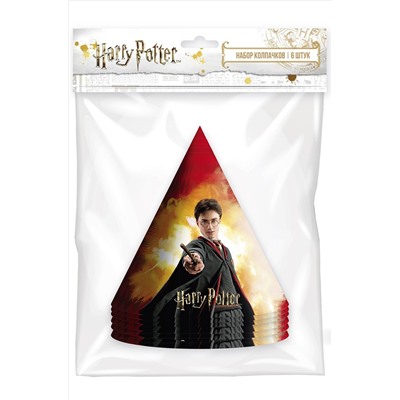 ND Play, Колпак бумажный Harry Potter 6 шт. ND Play