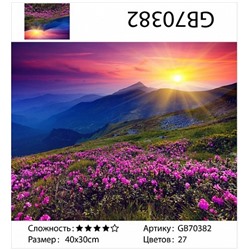 картина алмазная мозаика АМ34 GB70382 "Закат, розовые цветы", 30х40 см