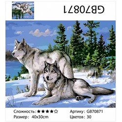 картина алмазная мозаика АМ34 GB70871 "Пара волков зимой", 30х40 см